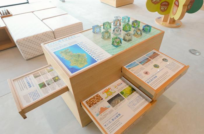 도쿠노시마 세계유산센터의