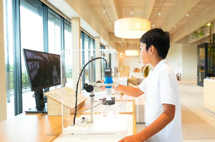 도쿠노시마 세계유산센터의